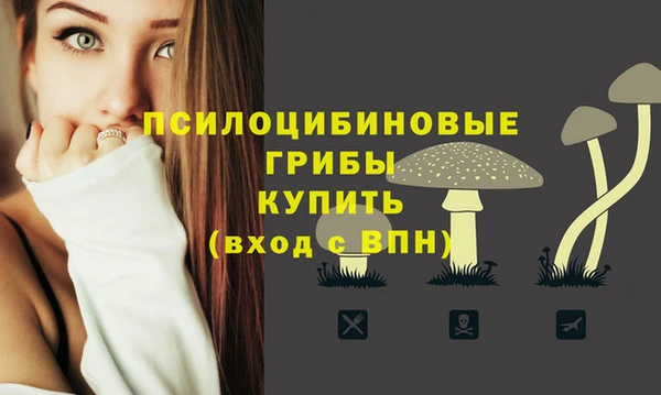 дмт Балабаново
