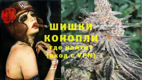 ГАЛЛЮЦИНОГЕННЫЕ ГРИБЫ Белокуриха