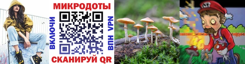 маркетплейс Telegram  Нерчинск  Галлюциногенные грибы Cubensis  купить наркотик 